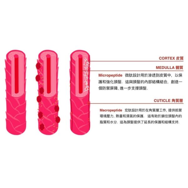 Goddess BioTech Blowout Leave-In Restorative Hair Mask 免沖洗修補髮膜 50 ml - Image 3
