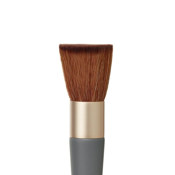 Jane Iredale Pro 12 piece ultimate vegan makeup brush set 12件殿堂級純素化妝掃全套裝 (預訂 6月初寄出)：圖片 3