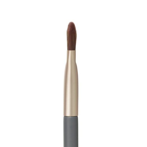 Jane Iredale Pro 12 piece ultimate vegan makeup brush set 12件殿堂級純素化妝掃全套裝 (預訂 6月初寄出)：圖片 7